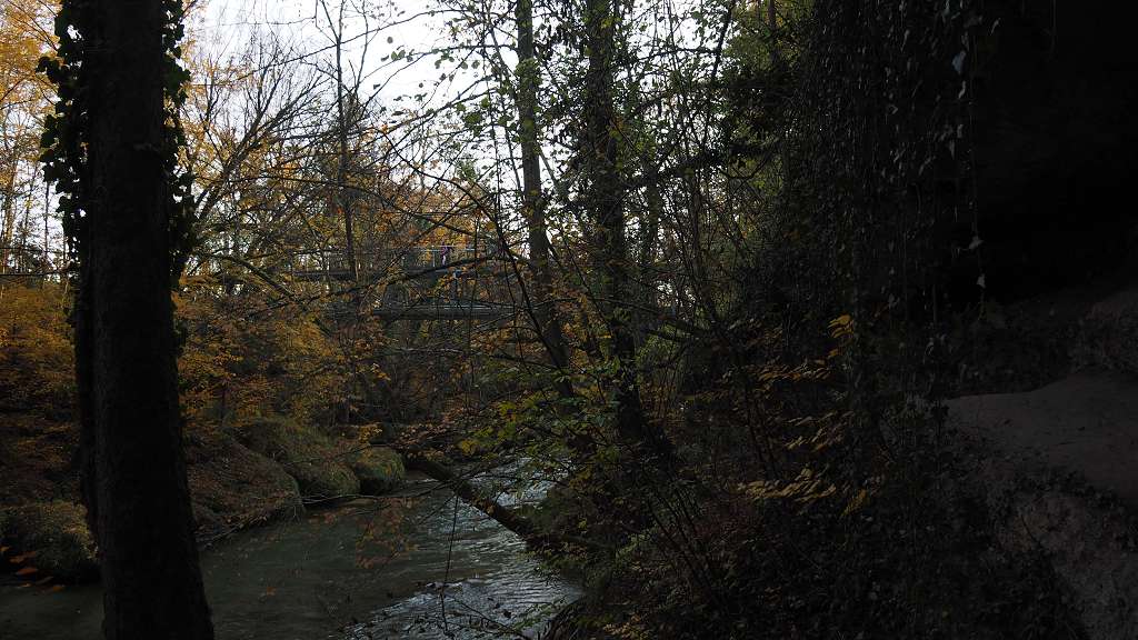 Foto: Datzi / Wandertour / Familienwanderung durch die wildromantische Erlaufschlucht in Purgstall / 14.11.2015 10:51:09