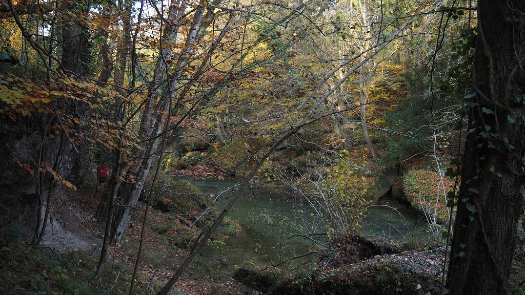 Foto: Datzi / Wandertour / Familienwanderung durch die wildromantische Erlaufschlucht in Purgstall / 14.11.2015 10:51:17