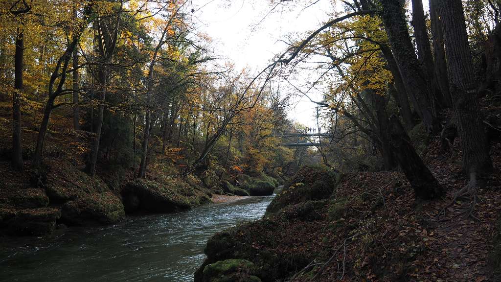 Foto: Datzi / Wandertour / Familienwanderung durch die wildromantische Erlaufschlucht in Purgstall / 14.11.2015 10:51:33