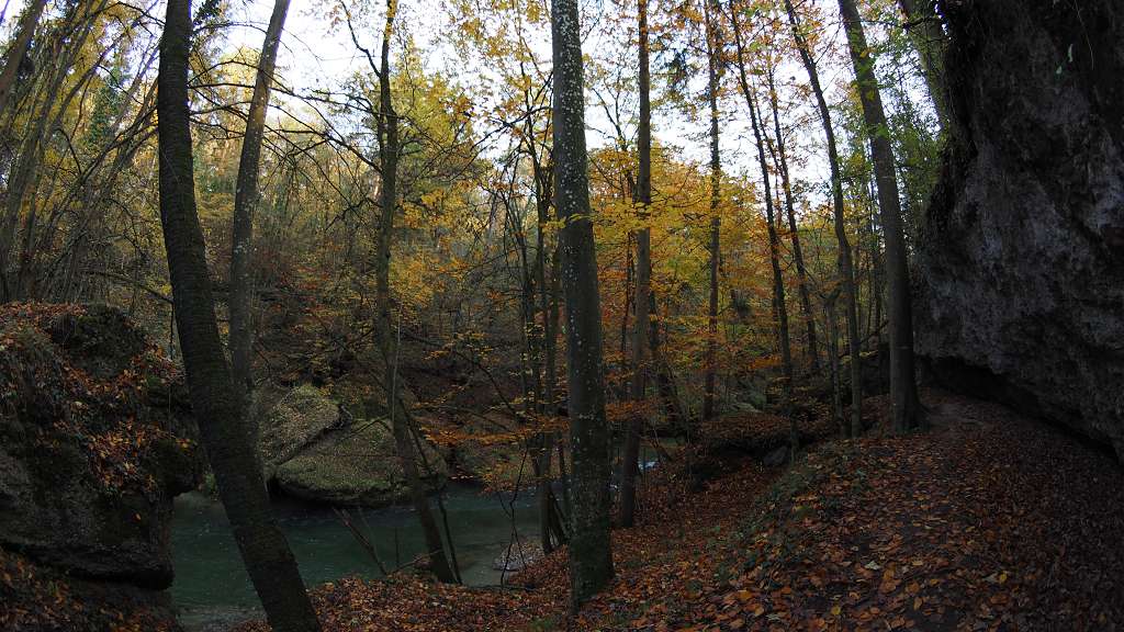 Foto: Datzi / Wandertour / Familienwanderung durch die wildromantische Erlaufschlucht in Purgstall / 14.11.2015 10:51:56
