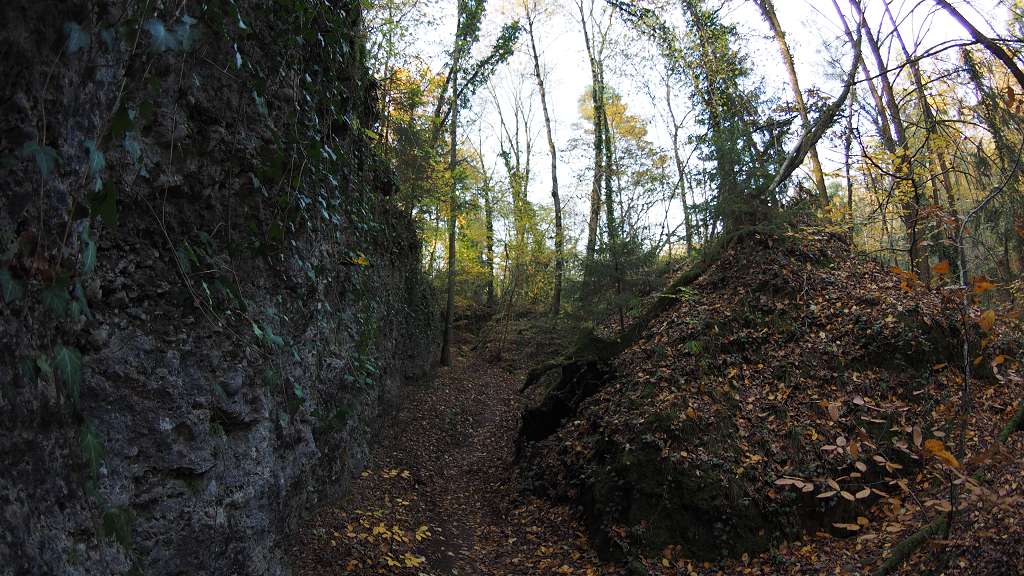 Foto: Datzi / Wandertour / Familienwanderung durch die wildromantische Erlaufschlucht in Purgstall / 14.11.2015 10:52:05
