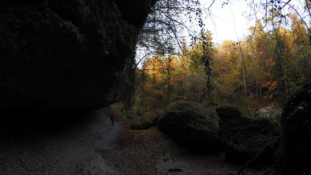 Foto: Datzi / Wandertour / Familienwanderung durch die wildromantische Erlaufschlucht in Purgstall / 14.11.2015 10:52:16