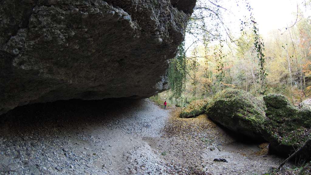 Foto: Datzi / Wandertour / Familienwanderung durch die wildromantische Erlaufschlucht in Purgstall / 14.11.2015 10:52:25