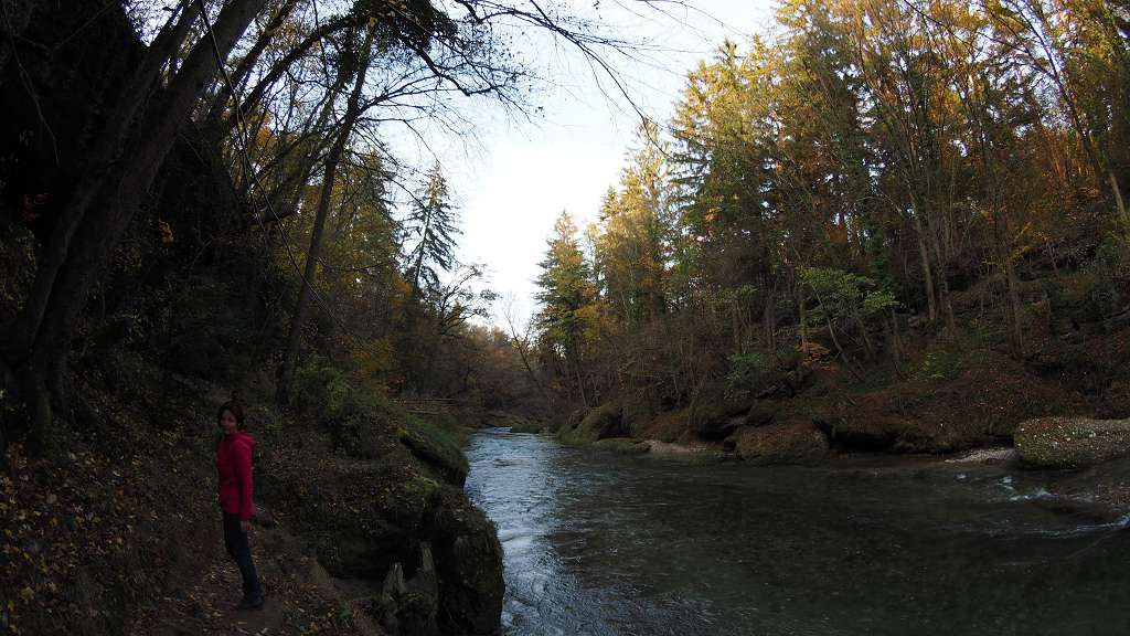 Foto: Datzi / Wandertour / Familienwanderung durch die wildromantische Erlaufschlucht in Purgstall / 14.11.2015 10:53:04
