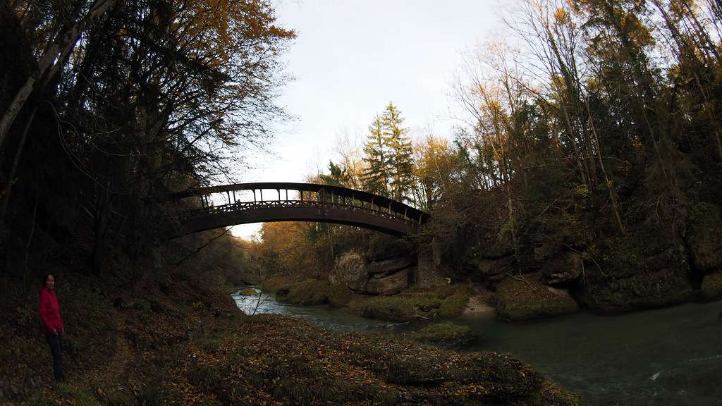 Foto: Datzi / Wandertour / Familienwanderung durch die wildromantische Erlaufschlucht in Purgstall / Die Romantikbrücke / 14.11.2015 10:53:13