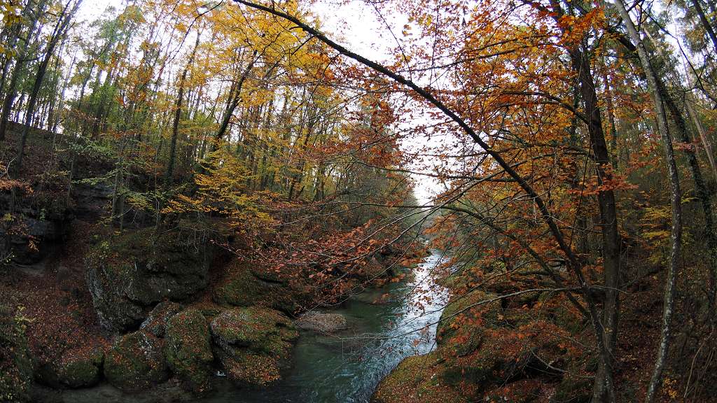 Foto: Datzi / Wandertour / Familienwanderung durch die wildromantische Erlaufschlucht in Purgstall / Die Erlaufschlucht / 14.11.2015 10:54:26
