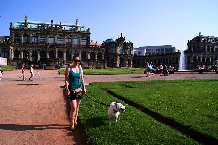 Foto: Andreas Koller / Wandertour / Altstadtrunde Dresden (115m) / 20.11.2015 01:34:47