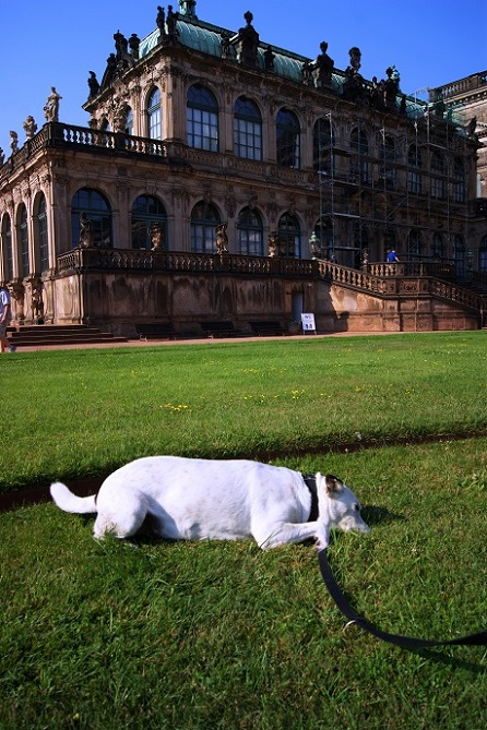 Foto: Andreas Koller / Wandertour / Altstadtrunde Dresden (115m) / 20.11.2015 01:34:07