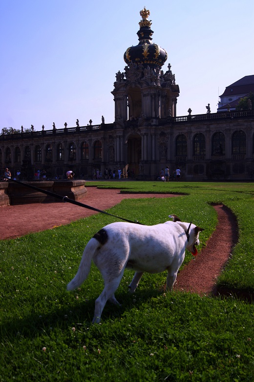Foto: Andreas Koller / Wandertour / Altstadtrunde Dresden (115m) / 20.11.2015 01:33:51