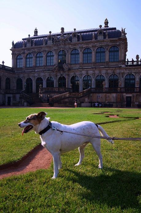Foto: Andreas Koller / Wandertour / Altstadtrunde Dresden (115m) / 20.11.2015 01:33:22