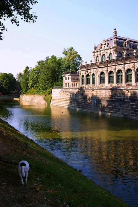 Foto: Andreas Koller / Wandertour / Altstadtrunde Dresden (115m) / 20.11.2015 01:32:52