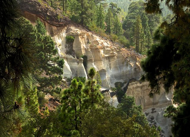 Foto: Walter Ruttinger / Wandertour / Teneriffa: Mt. Guajara via Mondlandschaft Paisaje Lunar / Paisaje Lunar / 09.12.2015 19:52:23