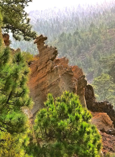 Foto: Walter Ruttinger / Wandertour / Teneriffa: Mt. Guajara via Mondlandschaft Paisaje Lunar / 09.12.2015 19:57:29