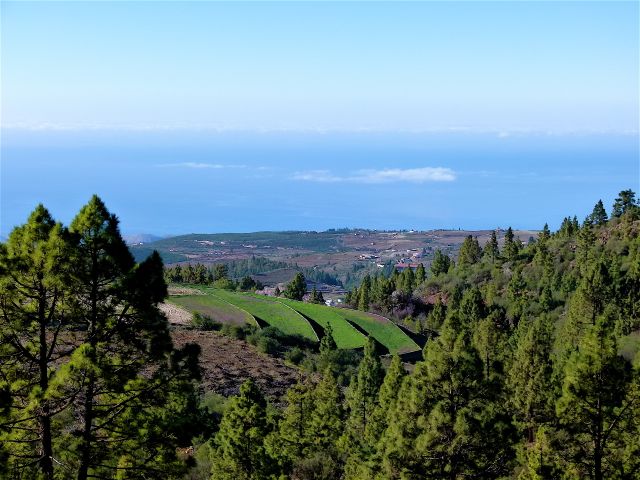 Foto: Walter Ruttinger / Wandertour / Teneriffa: Mt. Guajara via Mondlandschaft Paisaje Lunar / Wasser aus Barranco Aguas speist diese Felder Nähe Forststrasse / 09.12.2015 20:01:53