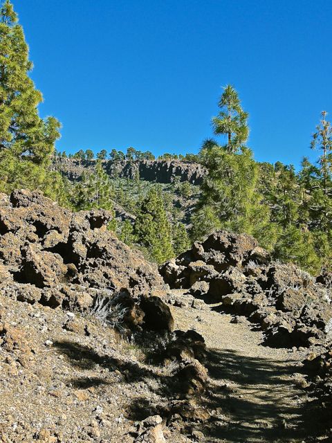 Foto: Walter Ruttinger / Wandertour / Teneriffa: Mt. Guajara via Mondlandschaft Paisaje Lunar / Erste Schritte / 09.12.2015 20:00:14