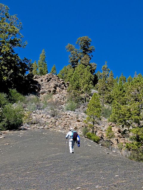 Foto: Walter Ruttinger / Wandertour / Teneriffa: Mt. Guajara via Mondlandschaft Paisaje Lunar / 09.12.2015 19:53:43