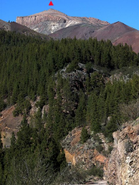 Foto: Walter Ruttinger / Wandertour / Teneriffa: Mt. Guajara via Mondlandschaft Paisaje Lunar / Erster Blick hinauf von Forststrasse / 09.12.2015 20:04:31