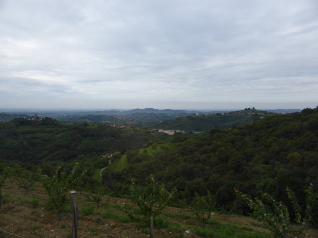 Foto: Manfred Karl / Wandertour / Monte Sabotino, 609 m / Rechts im Hintergrund liegt Gonjace / 12.12.2015 18:51:03