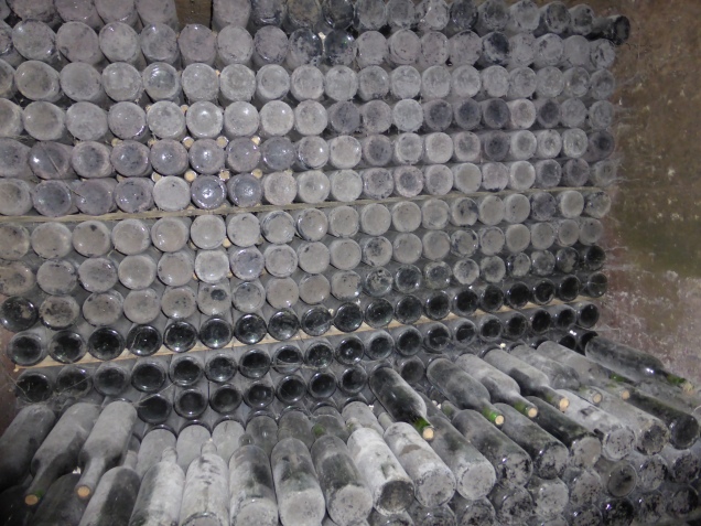 Foto: Manfred Karl / Wandertour / Monte Sabotino, 609 m / 12.12.2015 18:44:25