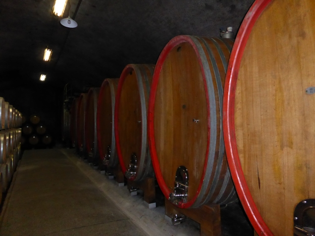 Foto: Manfred Karl / Wandertour / Monte Sabotino, 609 m / Weinkeller in Dobrovo / 12.12.2015 18:44:17