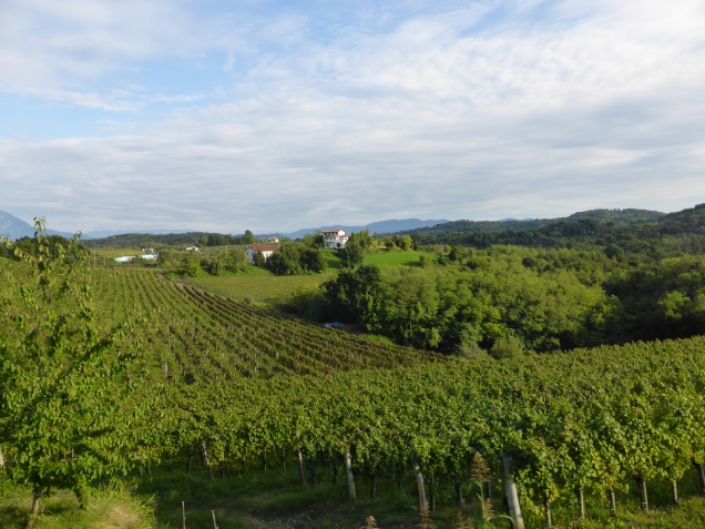 Foto: Manfred Karl / Wandertour / Monte Sabotino, 609 m / 12.12.2015 18:43:12