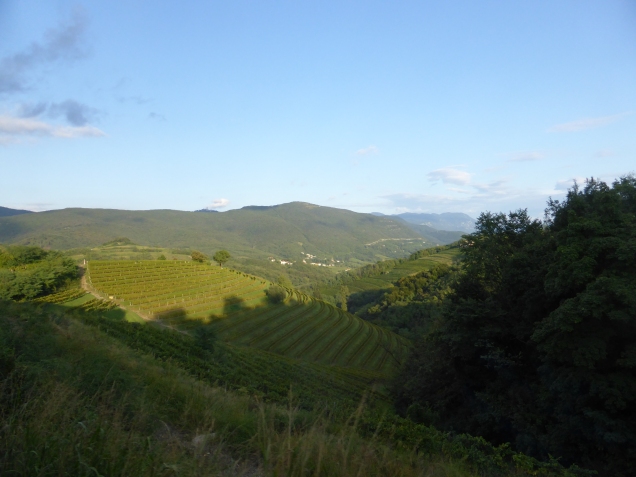 Foto: Manfred Karl / Wandertour / Monte Sabotino, 609 m / Blick zum Sabotin / 12.12.2015 18:42:31