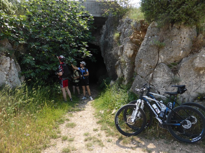 Foto: Manfred Karl / Mountainbiketour / Bikerunde Kap Kamenjak / Feigenbaum am Eingang des alten Kriegsstollen / 13.12.2015 18:52:12