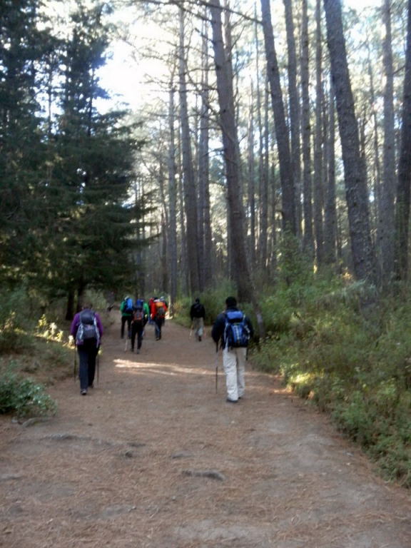 Foto: Wolfgang Lauschensky / Wandertour / Malinche oder Malintzin 4461m / breite Wandergasse kürzt die Fahrstraße ab / 21.12.2015 00:12:56