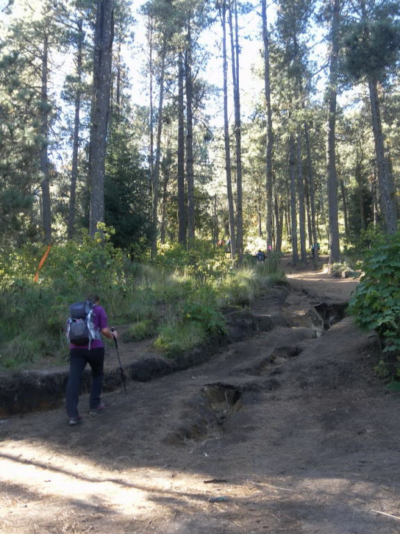 Foto: Wolfgang Lauschensky / Wandertour / Malinche oder Malintzin 4461m / erodierte Waldwege / 21.12.2015 00:12:43
