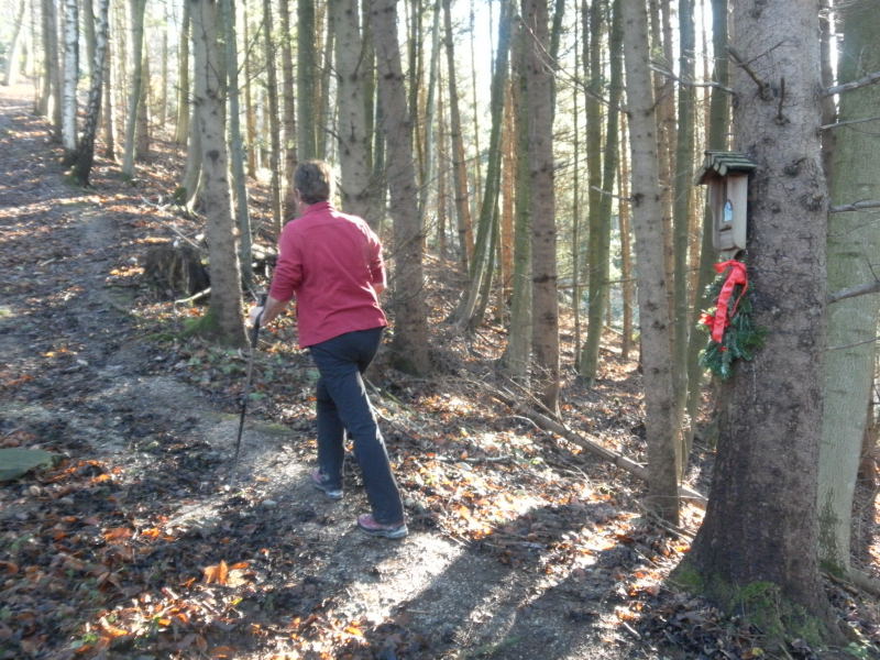 Foto: Wolfgang Lauschensky / Wandertour / Mondseeberg Rundwanderung / Marienmarterl / 22.12.2015 18:51:52