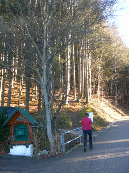 Foto: Wolfgang Lauschensky / Wandertour / Mondseeberg Rundwanderung / Wanderwegabzweigung / 22.12.2015 18:51:09