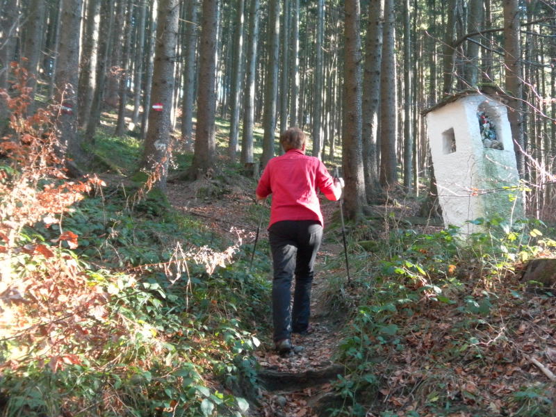 Foto: Wolfgang Lauschensky / Wandertour / Mondseeberg Rundwanderung / Marterl / 22.12.2015 18:50:45