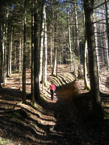 Foto: Wolfgang Lauschensky / Wandertour / Mondseeberg Rundwanderung / Hohlweg / 22.12.2015 18:50:28