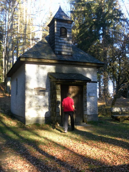 Foto: Wolfgang Lauschensky / Wandertour / Mondseeberg Rundwanderung / Radstatt / 22.12.2015 18:50:16