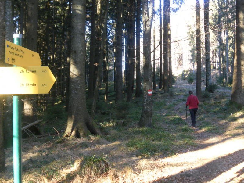 Foto: Wolfgang Lauschensky / Wandertour / Mondseeberg Rundwanderung / am Hans Pabst Weg / 22.12.2015 18:50:04