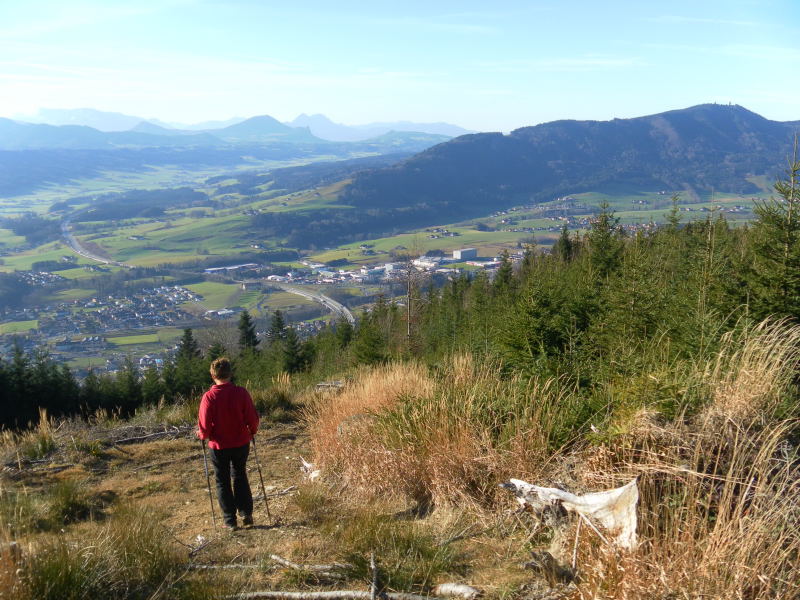 Foto: Wolfgang Lauschensky / Wandertour / Mondseeberg Rundwanderung / Westrückenabstieg / 22.12.2015 18:49:23