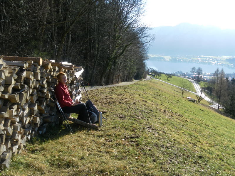 Foto: Wolfgang Lauschensky / Wandertour / Mondseeberg Rundwanderung / Pause am Waldrand mit Seeblick / 22.12.2015 18:49:08