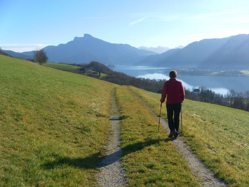 Foto: Wolfgang Lauschensky / Wandertour / Mondseeberg Rundwanderung / zurück nach Mondsee mit Schafbergblick / 22.12.2015 18:48:51