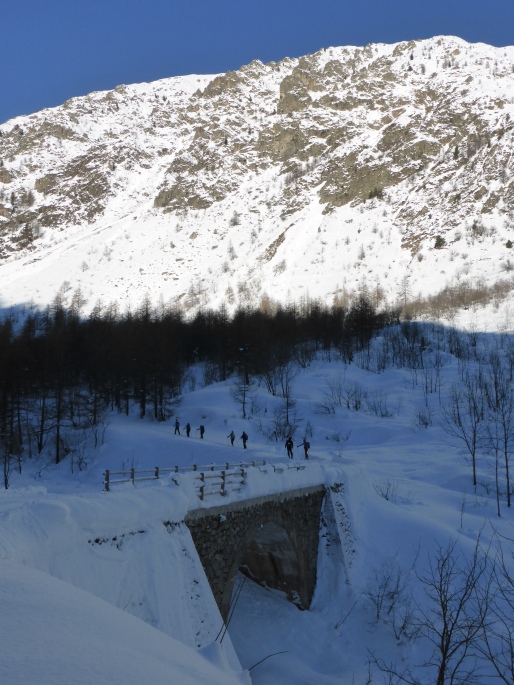 Foto: Manfred Karl / Skitour / Quota 2515 / Ende des Fahrweges / 28.11.2016 20:35:23