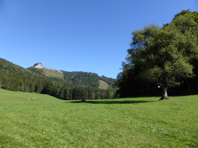 Foto: Manfred Karl / Wandertour / Von der Lurnwiese auf die Lindaumauer / Lindaumauer von der Lurnwiese / 27.01.2016 22:43:39