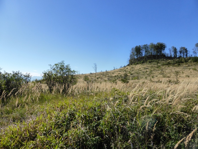 Foto: Manfred Karl / Wandertour / Von der Lurnwiese auf die Lindaumauer / Lindaumauer von Osten / 27.01.2016 22:42:48