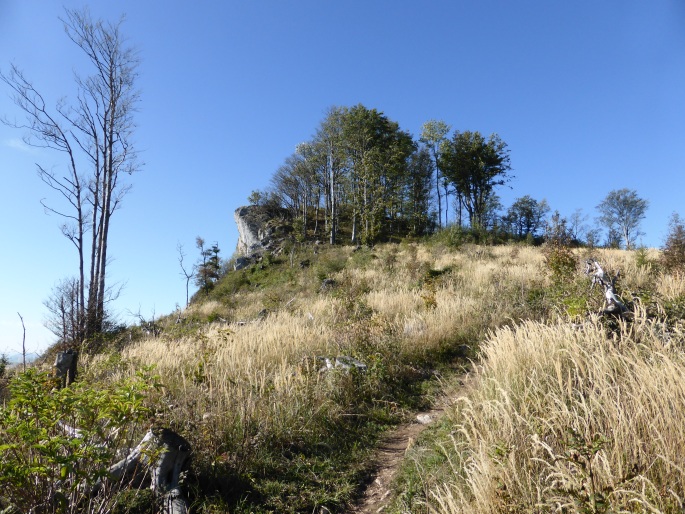 Foto: Manfred Karl / Wandertour / Von der Lurnwiese auf die Lindaumauer / Harmlos von der Seite / 27.01.2016 22:40:36