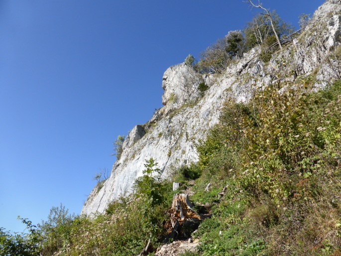 Foto: Manfred Karl / Wandertour / Von der Lurnwiese auf die Lindaumauer / Wandfuß der Lindaumauer / 27.01.2016 22:40:22