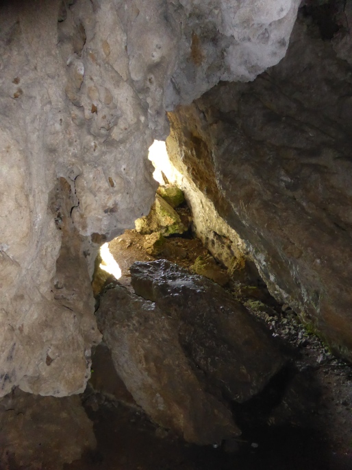 Foto: Manfred Karl / Wandertour / Von der Lurnwiese auf die Lindaumauer / 27.01.2016 22:39:54