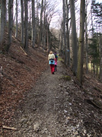 Foto: Wolfgang Dröthandl / Wandertour / St. Veiter Staff - Runde / Weg zum Gehöft Oberhauser / 04.04.2016 08:36:48
