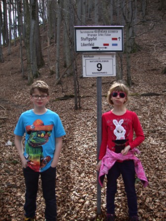 Foto: Wolfgang Dröthandl / Wandertour / St. Veiter Staff - Runde / Hier zweigt der kurze, aber relativ steile Anstieg zum Gipfel vom Norden ab / 04.04.2016 08:36:05