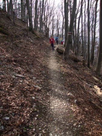 Foto: Wolfgang Dröthandl / Wandertour / St. Veiter Staff - Runde / Auf dem Höhenweg, der westlich um den Gipfel herumführt / 04.04.2016 08:34:26