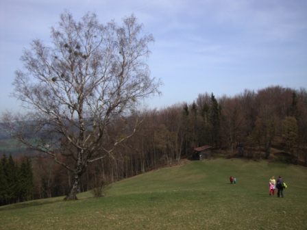 Foto: Wolfgang Dröthandl / Wandertour / St. Veiter Staff - Runde / Abstieg zur Staffhütte / 04.04.2016 08:33:47