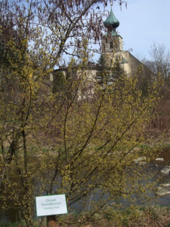 Foto: Wolfgang Dröthandl / Wandertour / St. Veiter Staff - Runde / wieder zurück in St. Veit an der Gölsen / 04.04.2016 08:31:02