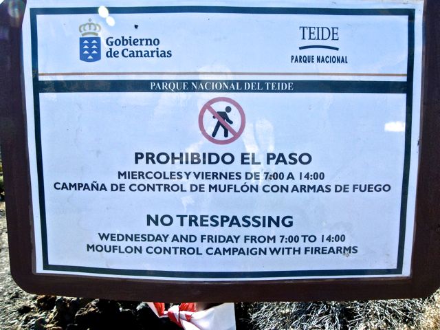 Foto: Walter Ruttinger / Wandertour / Teneriffa Höhenwanderung Caldera del Teide SW / Leider keine Rarität / 08.04.2016 13:09:24